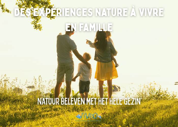 activite-decouverte-nature-famille-riveo-wallonie