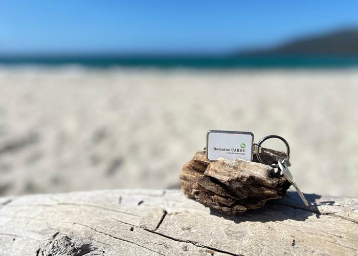 Porte-clés du Domaine Cardu posé sur un bois flotté, sur une plage de Corse, symbole d'un séjour authentique et relaxant.