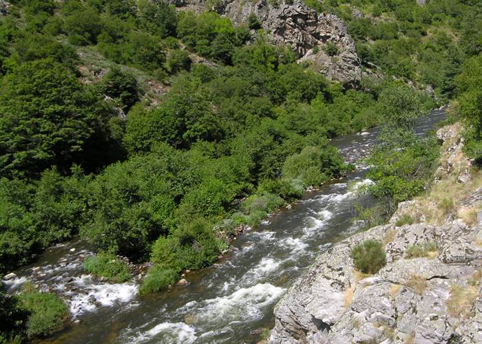 La rivière Allier