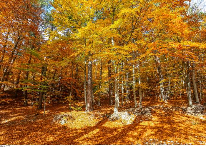 Mont Ventoux. Copyright. 8745-Bedoin_-HOCQUEL_A_-_VPA-1600px