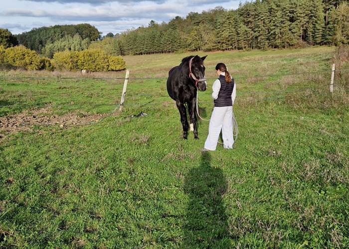 en vacances avec son cheval