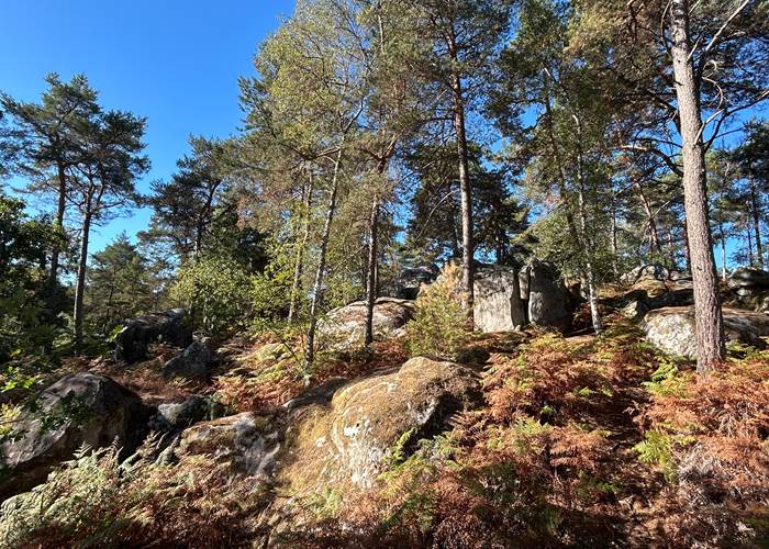 Hilltop, Coquibus Auvergne
