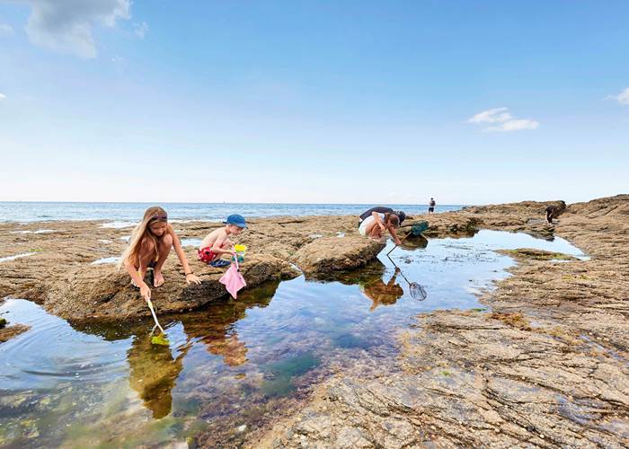 Domaine de Kerizel-Bretagne sud-Maison d'hôtes-pêche à pieds-© A.Lamoureux – Golfe du Morbihan Vannes tourisme
