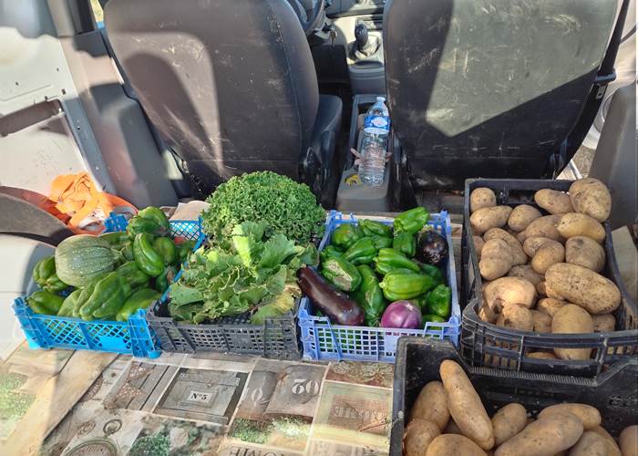 Ce jour, une belle récolte au potager  😍