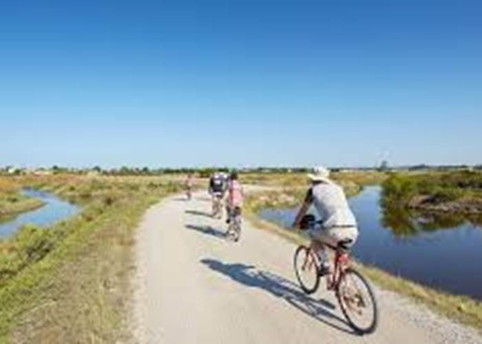 sentier du litoral-Locaplage-Lanton-Bassin d'Arcachon