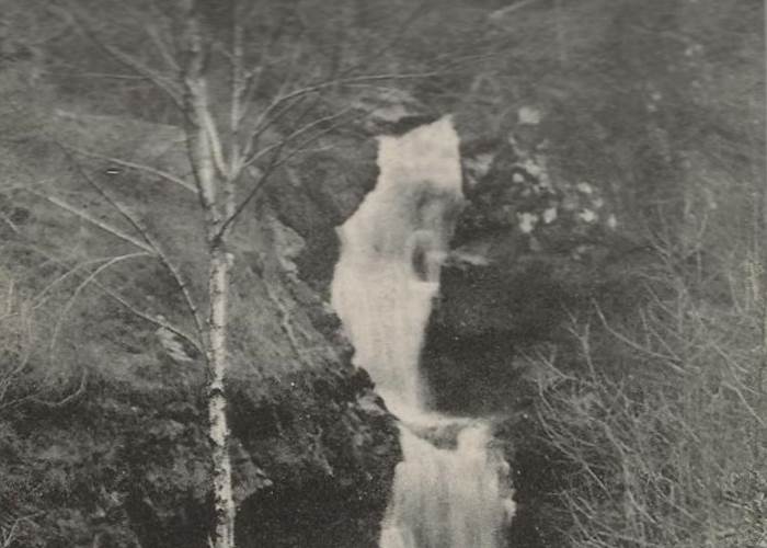 Carte postale vintage histoire parc vuillier correze tourisme tulle 4