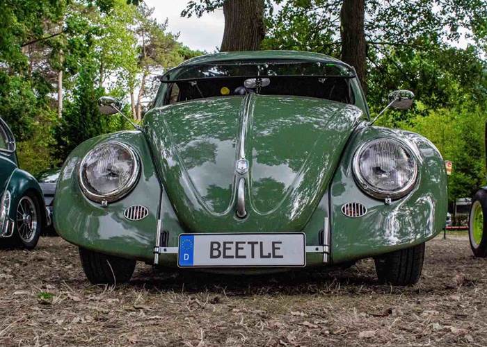Une coccinelle à l'European Bug-In de Chimay