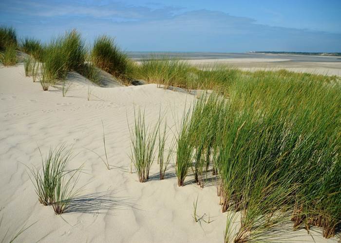 Vastes plages de sable fin !