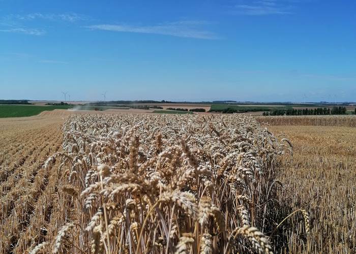 vue sur les champs de la ferme de Bonavis