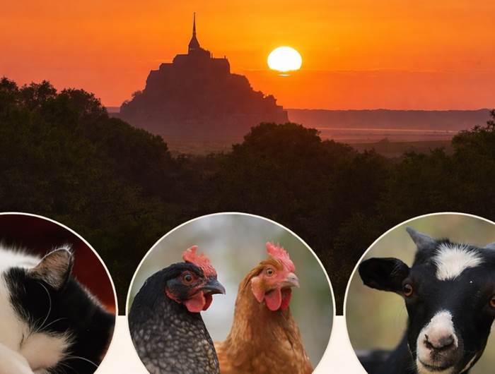 Header La Perruche