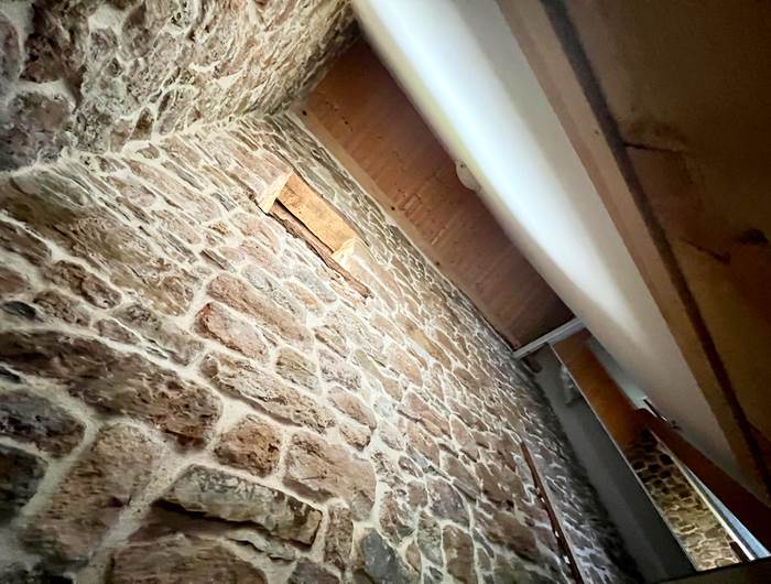 Gîte Daim