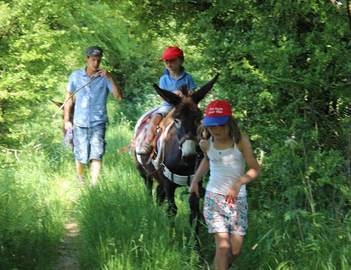 promenade à dos d'âne