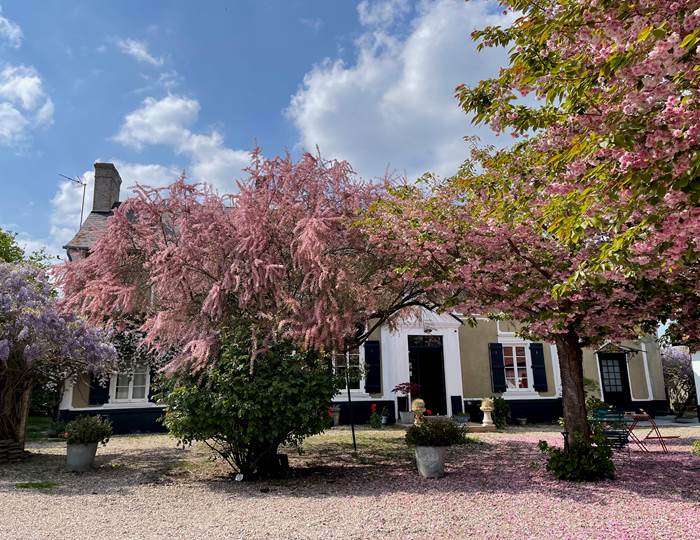 © Au Presbytère de Saigneville