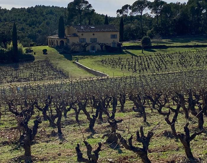 Vignes en cirque