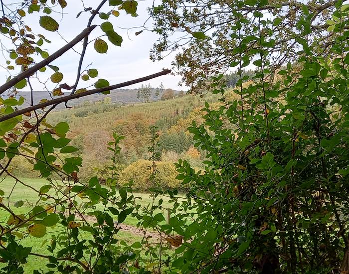 Vue de Winamplache