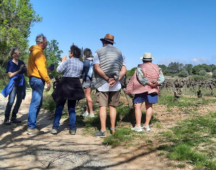 balade dans les vignes