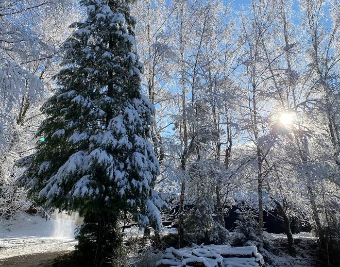 Domaine du Hygge Chalets Lodges & Spa