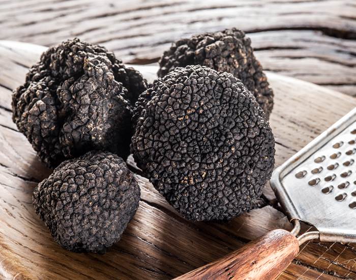 Nos conseils truffe