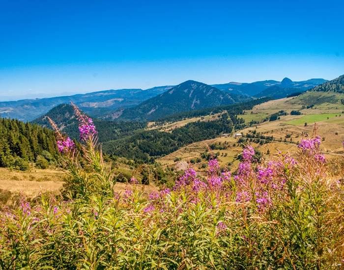 Le Plateau de Mezenc