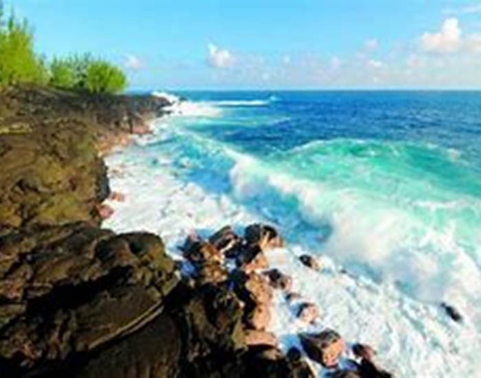 sud sauvage