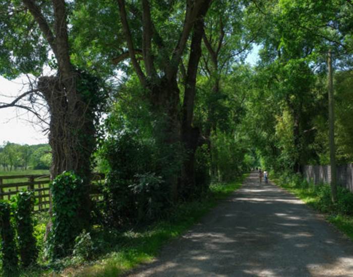 balades le long de la Sèvre Nantaise