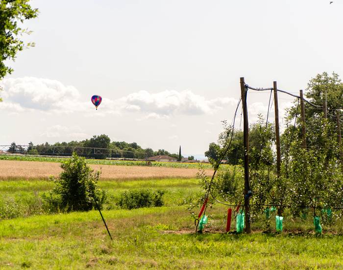 Découverte de la région en Montgolfière