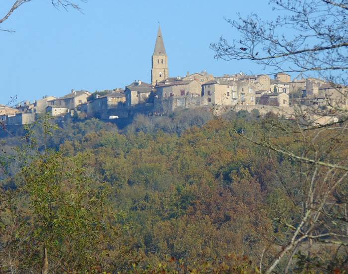 Puycelsi