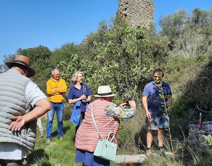 balade dans les vignes Domaine La Tasque