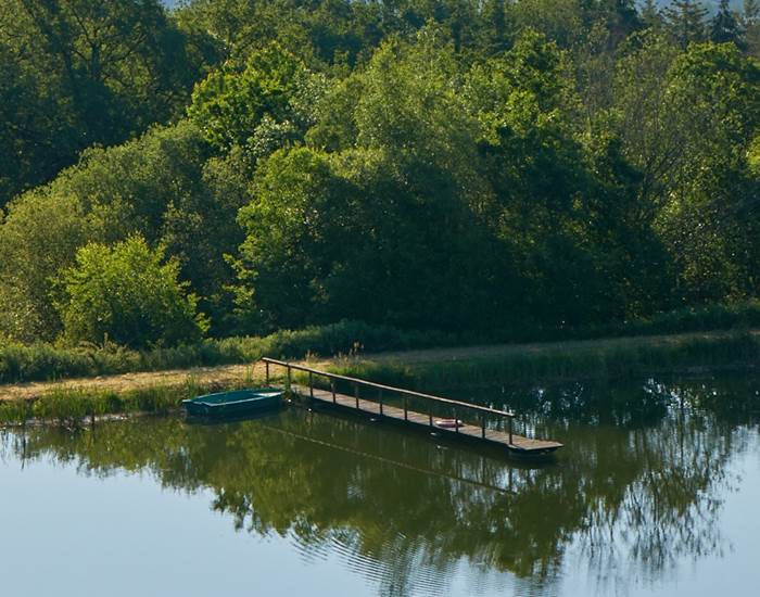 les bois de saint Auvent l'étang