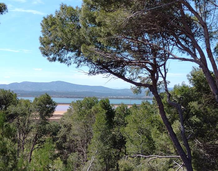 Sainte Lucie port la nouvelle