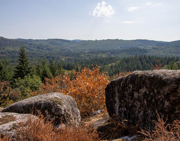 Plateau de Millevache Corrèze Tourisme-page
