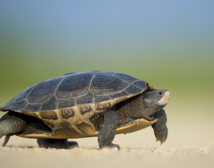 slow tourisme à la Vieille Maison de Pensol
