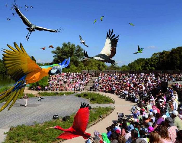 Parc des oiseaux