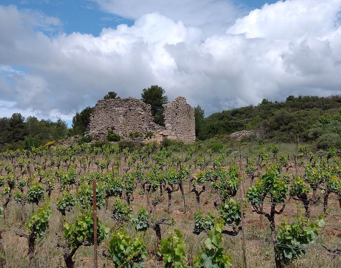 Mailhac 6000 ans d'histoire