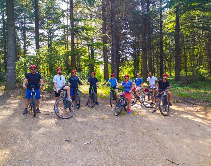 Groupe en forêt