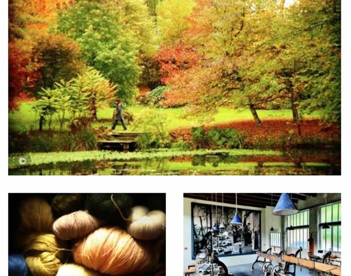 image-news