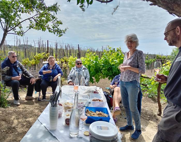 Pique-Nique vigneron