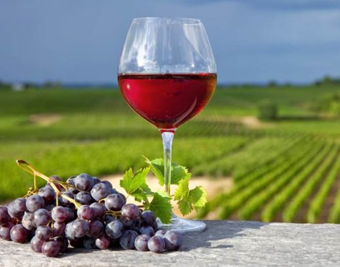 Vignoble