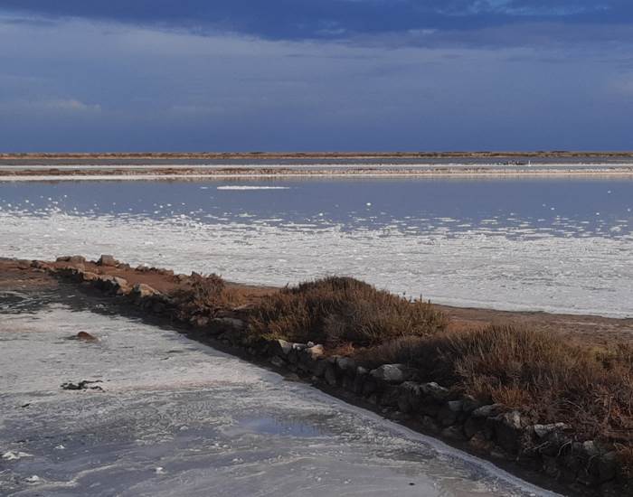 Balade dans les salins