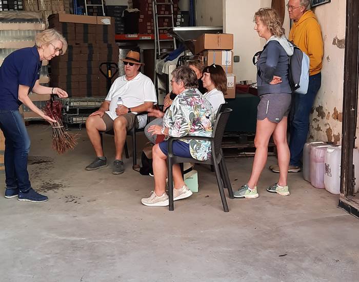 Première activité avec les vignerons Mailhacois 🍇 🍇 🍇
