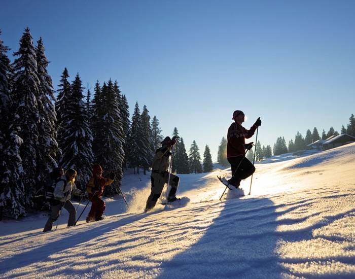 raquette dans les vosges