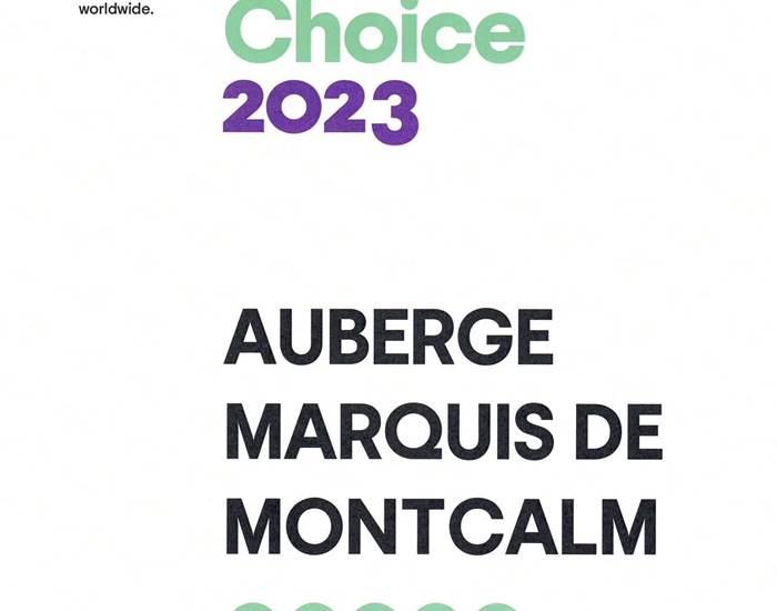Sans titre