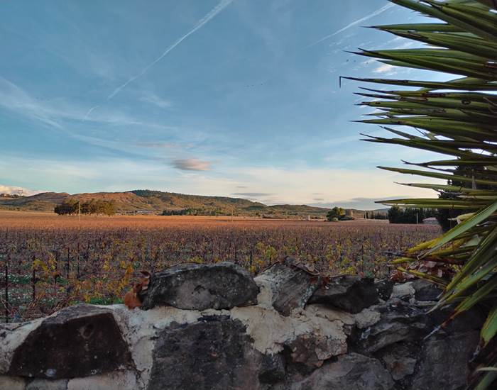 Admirer la nature à le Coq du Nord-Mailhac