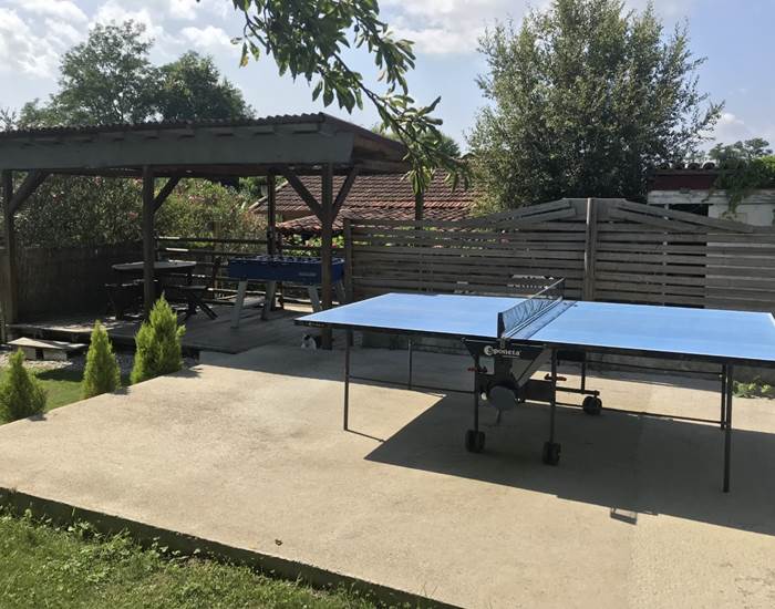 ping-pong