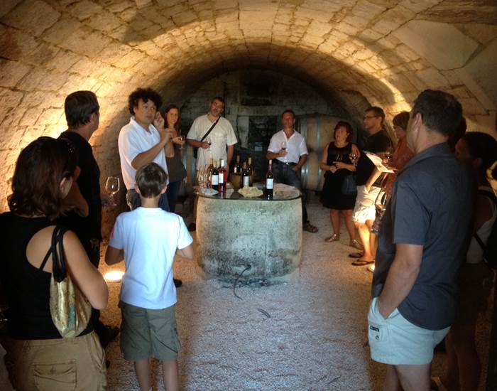 Dégustation de vins