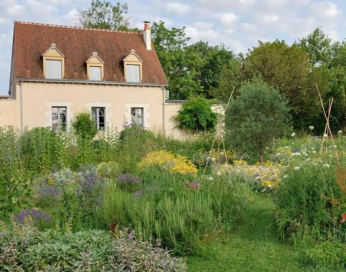 chambres-d-hotes-amboise-maison-chemin-jardin-plantes-aromatiques-medicinales