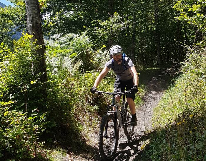 VTT