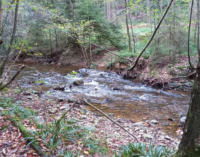 Petit ruisseau sur notre parcours