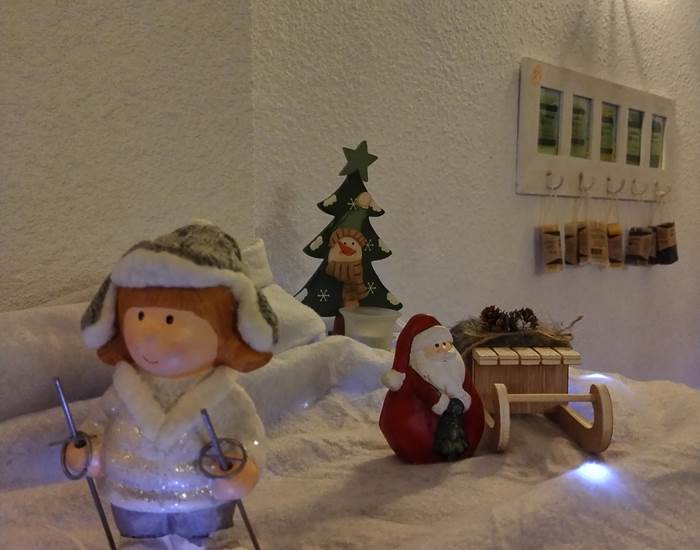 Magie de Noël à Le Coq du Nord-Mailhac 🌲🌲🌲