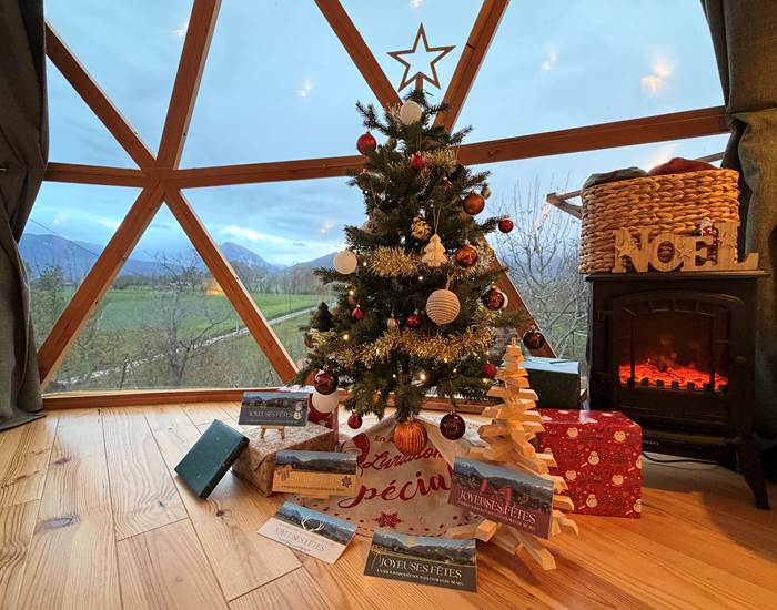 Nos cartes cadeaux thèmes Noël